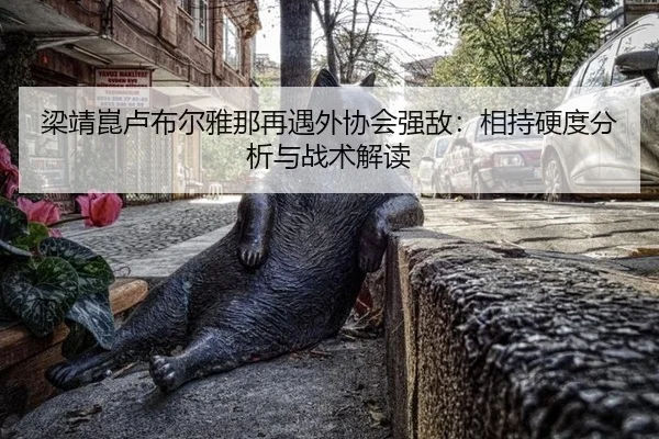 liang-jing-kun-lu-bu-er-ya-na-zai-yu-wai-xie-hui-qiang-di-xiang-chi-ying-du-fen-xi-yu-zhan-shu-jie-du-2-417.jpg