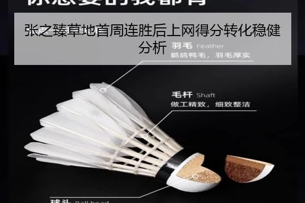张之臻草地首周连胜后上网得分转化稳健分析